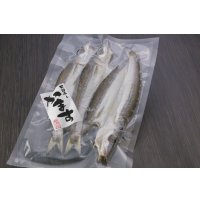 かます汐干