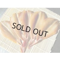 ほうぼう味醂干