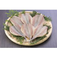 あじ汐干（頭なし）