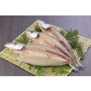 画像: かます汐干