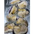 画像1: 大あさり (1)
