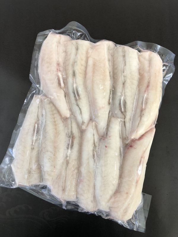 ヒガンフグ Mサイズ 魚新商店